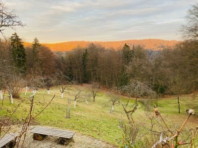 Apartment Landlust-Ferienhaus - Outdoor photo 27