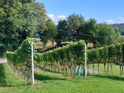 Holiday room Doppelzimmer mit Dusche, WC - Outdoor photo 9
