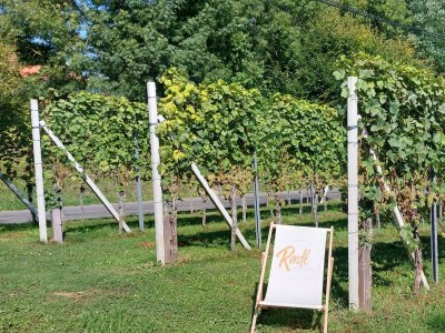 Holiday room Doppelzimmer mit Dusche, WC - Outdoor photo 14