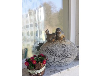 Apartment Ferienhaus zur exklusiven Nutzung - Outdoor photo 4