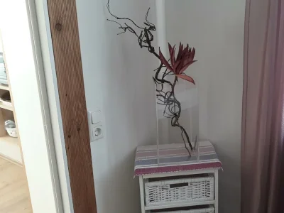 Apartment Ferienhaus zur exklusiven Nutzung - Outdoor photo 14