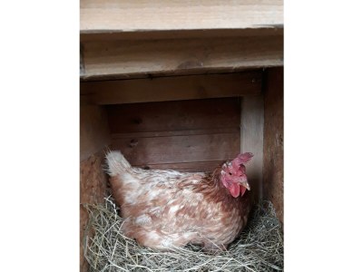 Apartment Ferienhaus zur exklusiven Nutzung - Outdoor photo 19