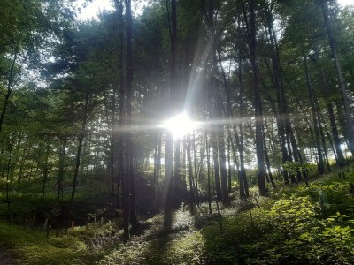 Apartment Ferienhaus zur exklusiven Nutzung - Outdoor photo 20