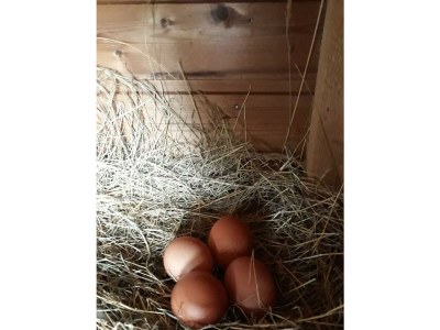 Apartment Ferienhaus zur exklusiven Nutzung - Outdoor photo 23