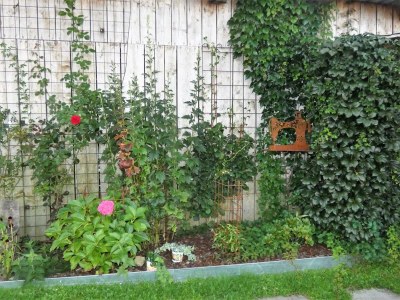 Apartment Appartement/Fewo, Dusche, WC, 2 Schlafräume - Outdoor photo 11