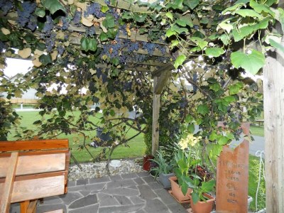 Apartment Appartement/Fewo, Dusche, WC, 2 Schlafräume - Outdoor photo 13