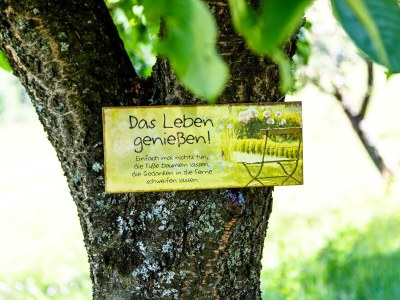 Holiday room Gemütliches Wohlfühlzimmer - Outdoor photo 10