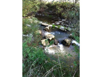 Apartment Ferienwohnung Murmühle - ab 2 Nächte - Outdoor photo 6