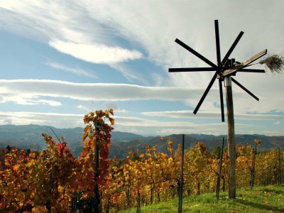 Apartment Ferienwohnung Murmühle - ab 2 Nächte - Outdoor photo 9