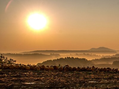 Apartment Ferienwohnung Murmühle - ab 2 Nächte - Outdoor photo 10