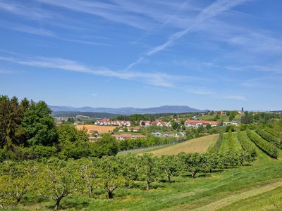 Holiday room Juniorsuite Sunrise oder Namaste - Outdoor photo 10