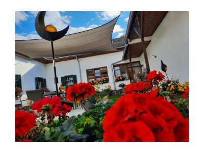 Apartment Apartment/2 Schlafräume/Dusche, WC - Outdoor photo 13