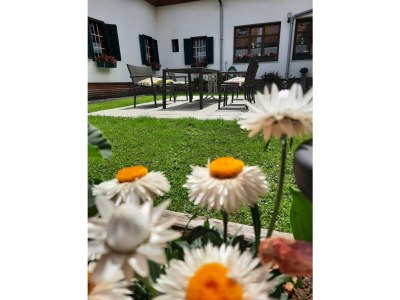 Apartment Apartment/2 Schlafräume/Dusche, WC - Outdoor photo 14