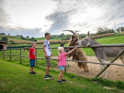 Apartment Apartment/2 Schlafräume/Dusche, WC - Outdoor photo 22