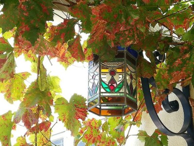 Holiday room Junior Suite Rosamunde - Outdoor photo 15