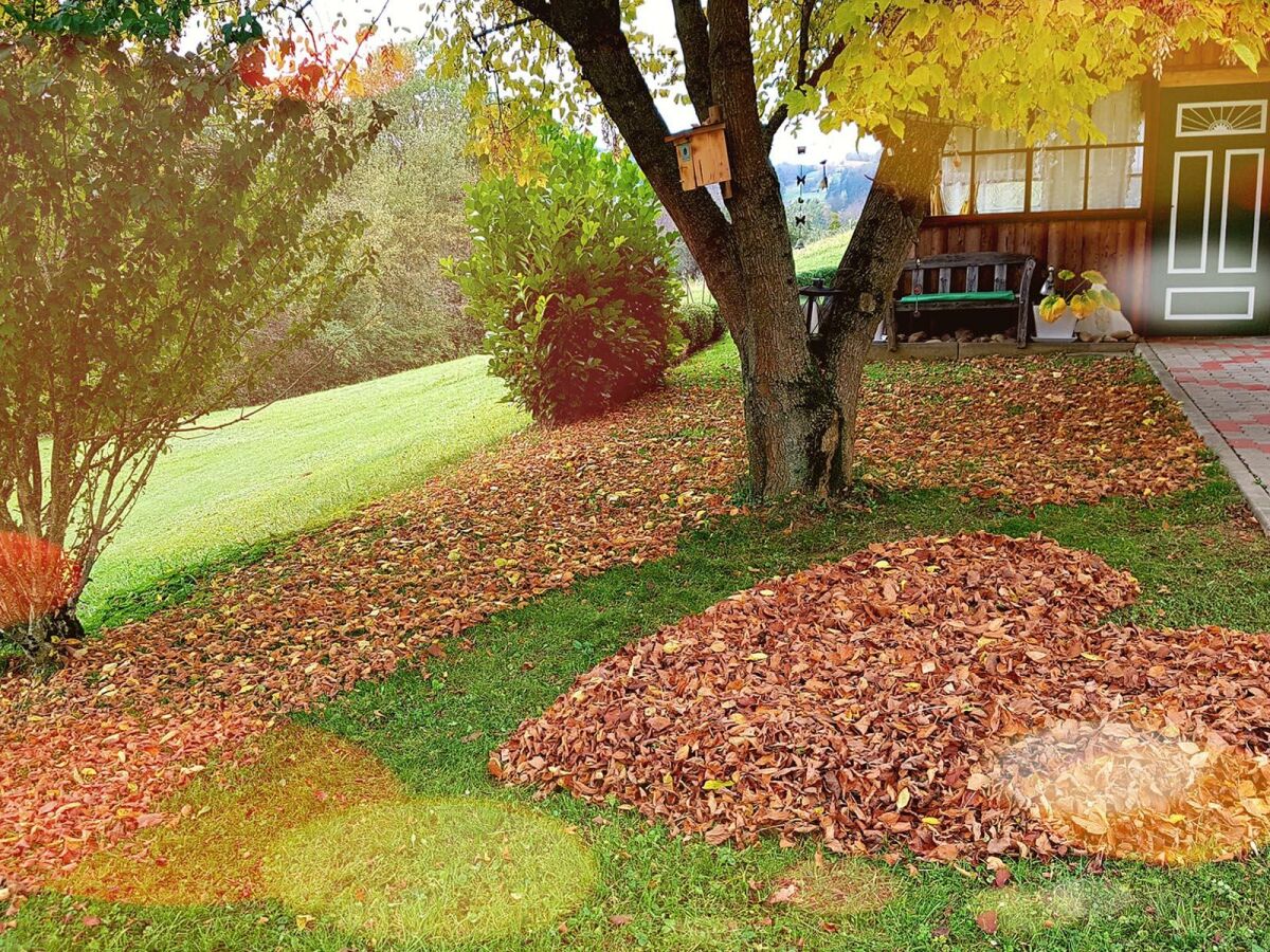 Holiday room Ferienwohnung "Am Heuboden" - Outdoor photo 4