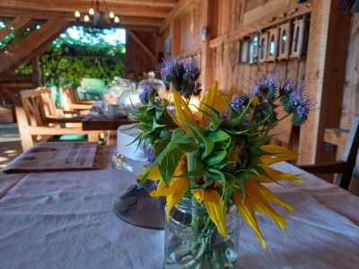 Holiday room Ferienwohnung "Am Heuboden" in Feldbach - Holiday room