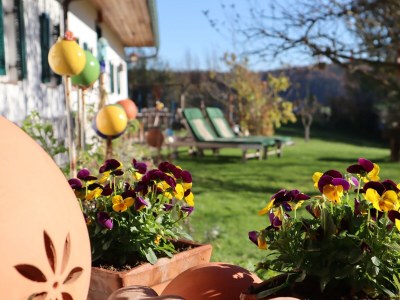 Holiday room Ferienwohnung "Am Heuboden" - Outdoor photo 7