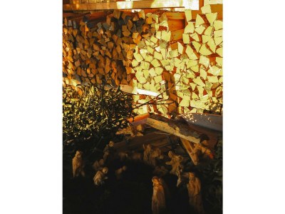 Holiday room Ferienwohnung "Am Heuboden" - Outdoor photo 12