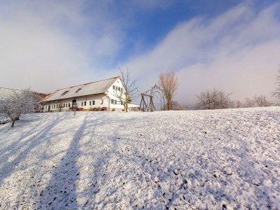 Holiday room Ferienwohnung "Am Heuboden" - Outdoor photo 20