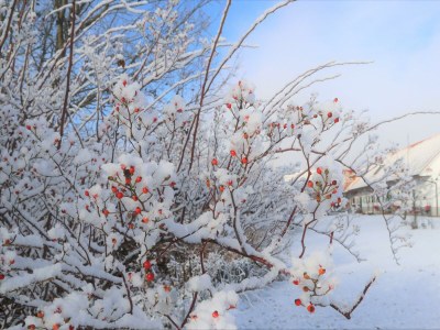 Holiday room Ferienwohnung "Am Heuboden" - Outdoor photo 23