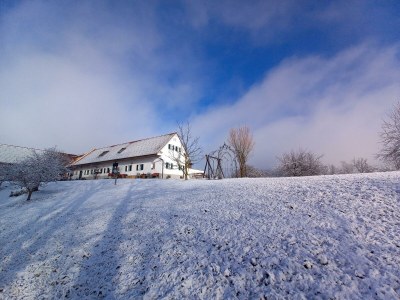 Holiday room Ferienwohnung "Am Heuboden" - Outdoor photo 24