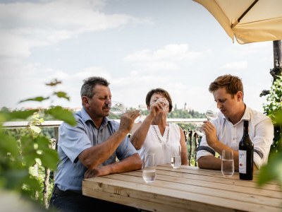 Holiday room Weingartenappartement mit Balkon | 2 Doppelzimmer - Outdoor photo 3