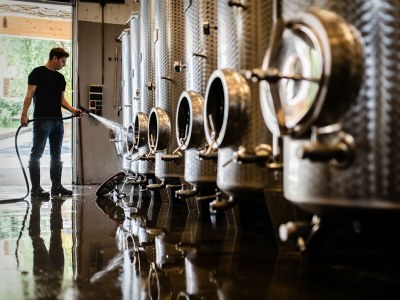 Holiday room Weingartenappartement mit Balkon | 2 Doppelzimmer - Outdoor photo 6