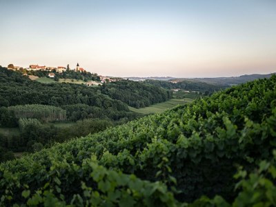 Holiday room Weingartenappartement mit Balkon | 2 Doppelzimmer - Outdoor photo 7