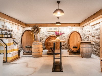 Holiday room Weingartenappartement mit Balkon | 2 Doppelzimmer - Outdoor photo 9