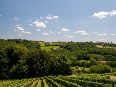 Holiday room Weingartenappartement mit Balkon | 2 Doppelzimmer - Features photo 15