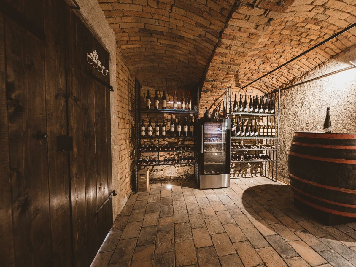 Apartment Appartement Weinrebe - Outdoor photo 4