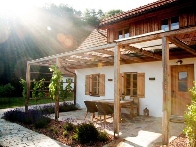 Apartment Appartement Weinrebe in Straden - Apartment