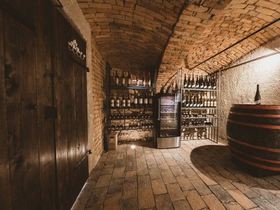 Apartment Appartement Weinrebe - Outdoor photo 4