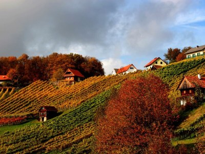 Apartment Appartement Weinrebe - Outdoor photo 11