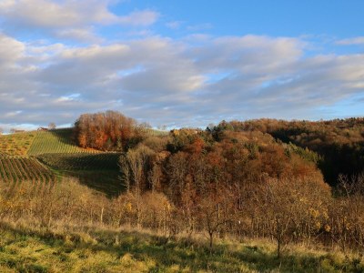 Apartment Ferienhaus - Outdoor photo 22