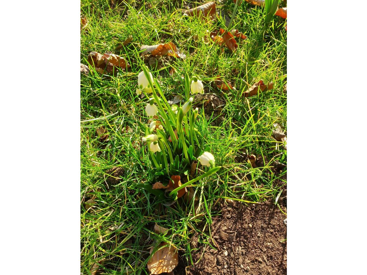 Apartment Appartement Erdgeschoss - Outdoor photo 3