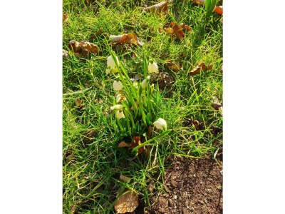 Apartment Appartement Erdgeschoss - Outdoor photo 3