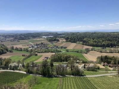 Apartment Foidlhaus - Outdoor photo 22