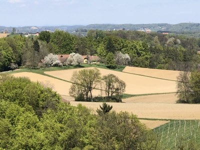 Apartment Foidlhaus - Outdoor photo 40