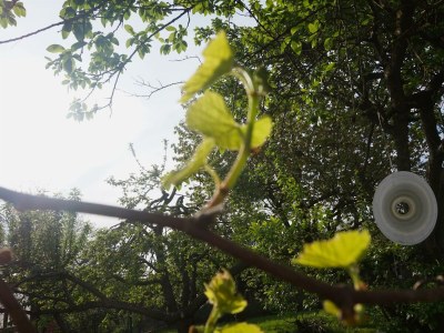 Apartment City-Appartement 3 - Outdoor photo 22