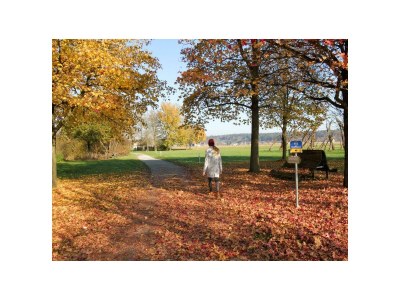 Apartment Appartement Komfort Plus | ab 3 Nächte - Outdoor photo 20