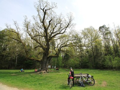 Apartment Appartement Komfort Plus | ab 3 Nächte - Outdoor photo 47