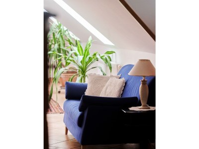 Apartment Appartement Komfort Plus | ab 3 Nächte - Outdoor photo 62