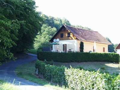 Apartment Ferienwohnung - Outdoor photo 14