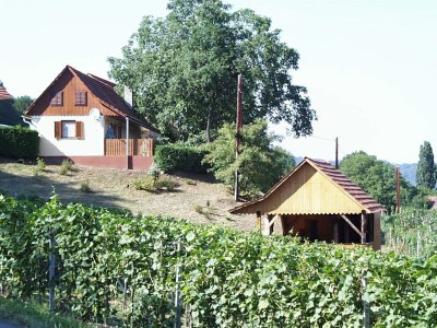 Apartment Ferienwohnung - Outdoor photo 15