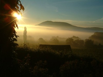Apartment Ferienwohnung - Outdoor photo 16
