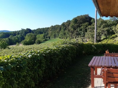 Apartment Ferienwohnung - Outdoor photo 28