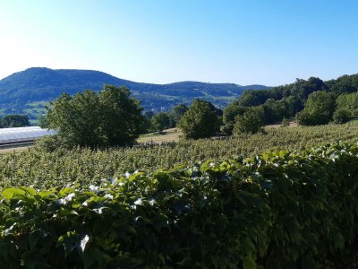 Apartment Ferienwohnung - Features photo 44