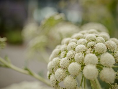 Holiday room Angebots Doppelzimmer ohne Balkon - Outdoor photo 27